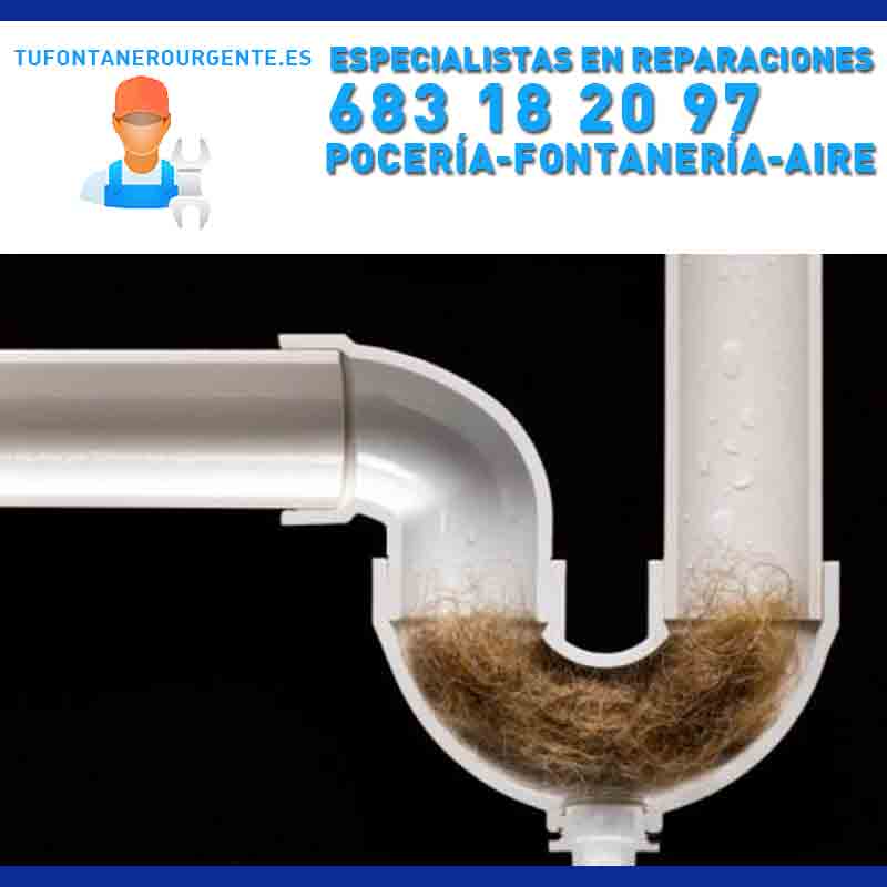 pocero en parque Coímbra