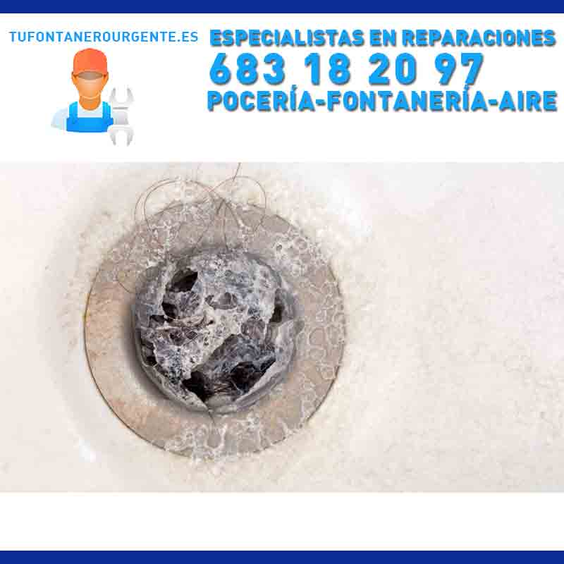 pocero en el Alamo